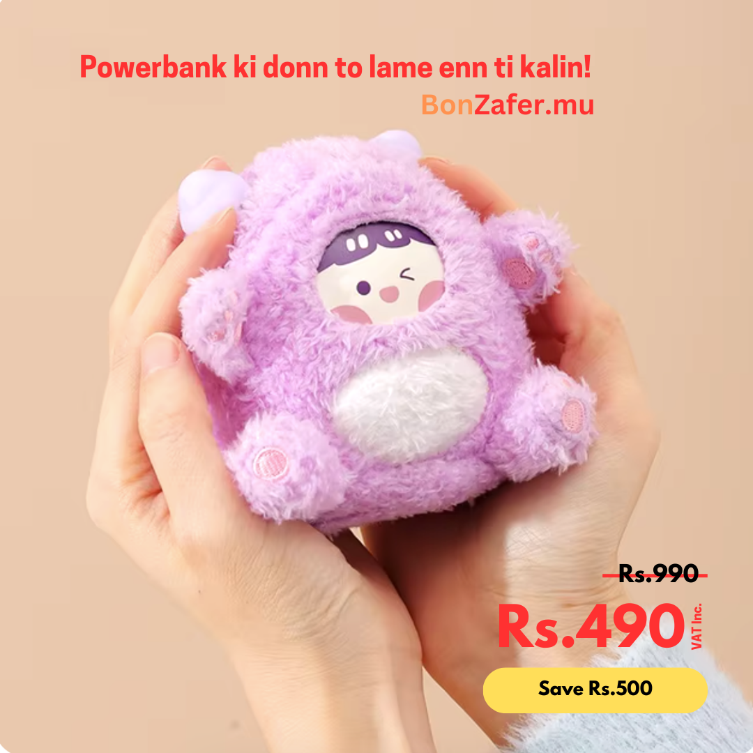 Powerbank & Hand Warmer