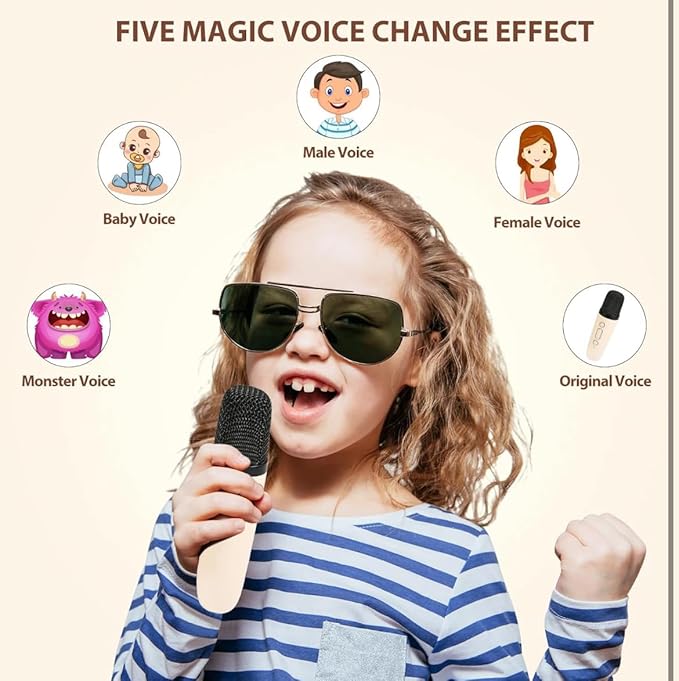 Dual Microphone Karaoke